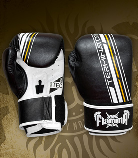 Boxing Gloves Flamma Terminator